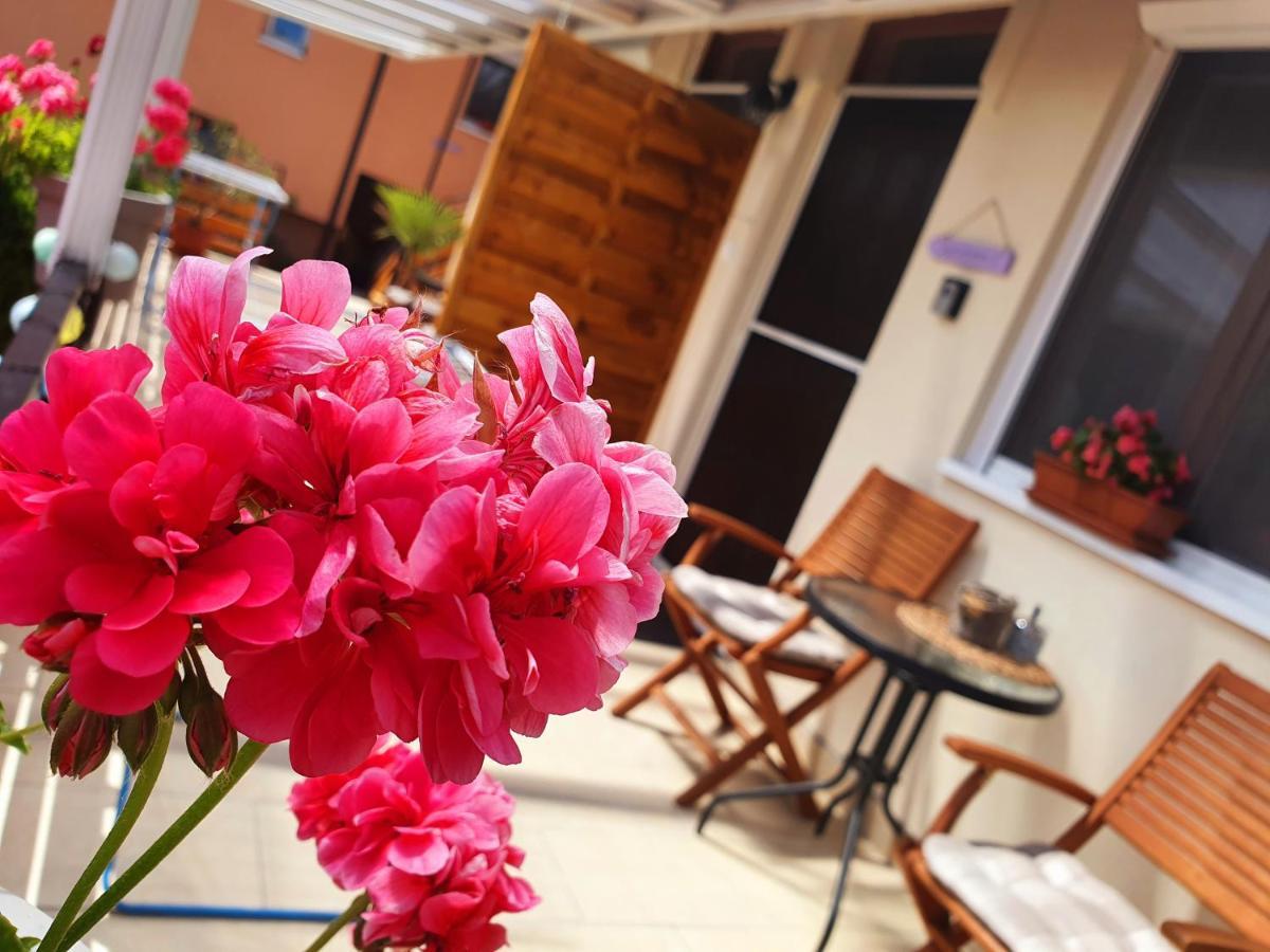 Lavendel Apartments Héviz Zewnętrze zdjęcie